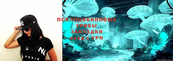 мдпв Покров